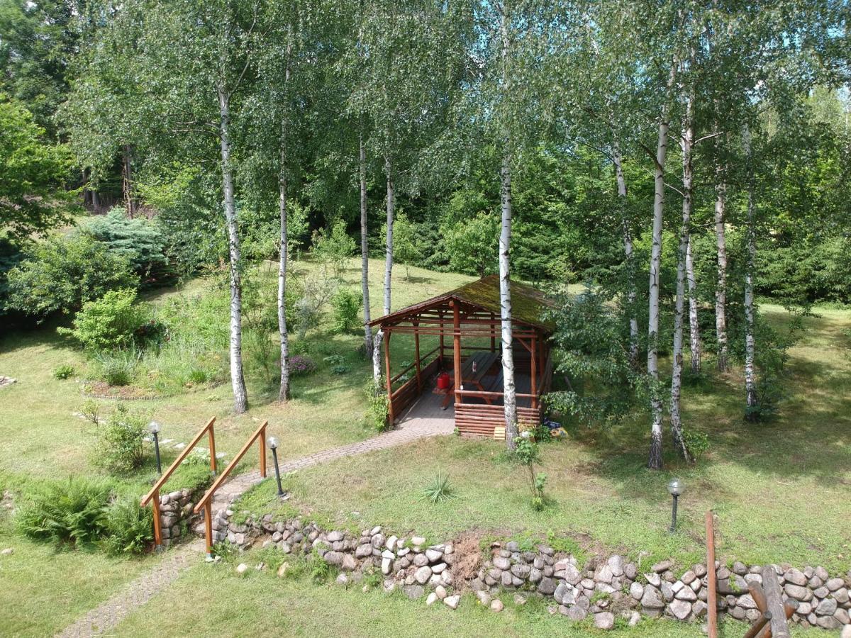 Chata Górska Sowa dla 12 osób, 4 sypialnie,salon z kominkiem Villa Podgórzyn Exterior foto