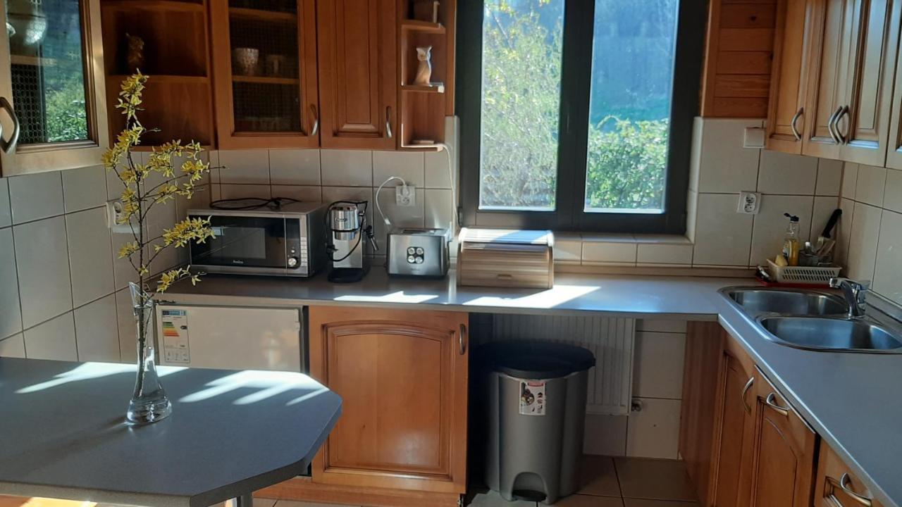 Chata Górska Sowa dla 12 osób, 4 sypialnie,salon z kominkiem Villa Podgórzyn Exterior foto
