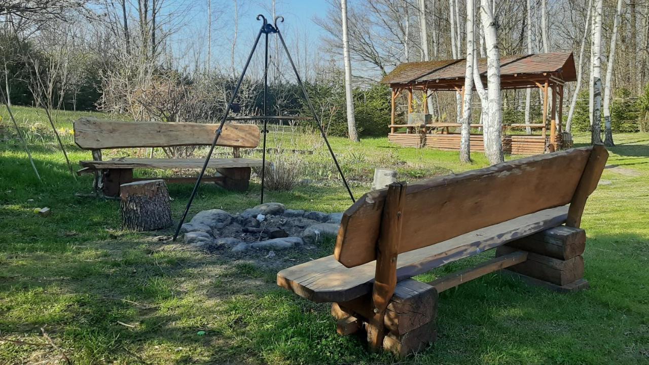 Chata Górska Sowa dla 12 osób, 4 sypialnie,salon z kominkiem Villa Podgórzyn Exterior foto