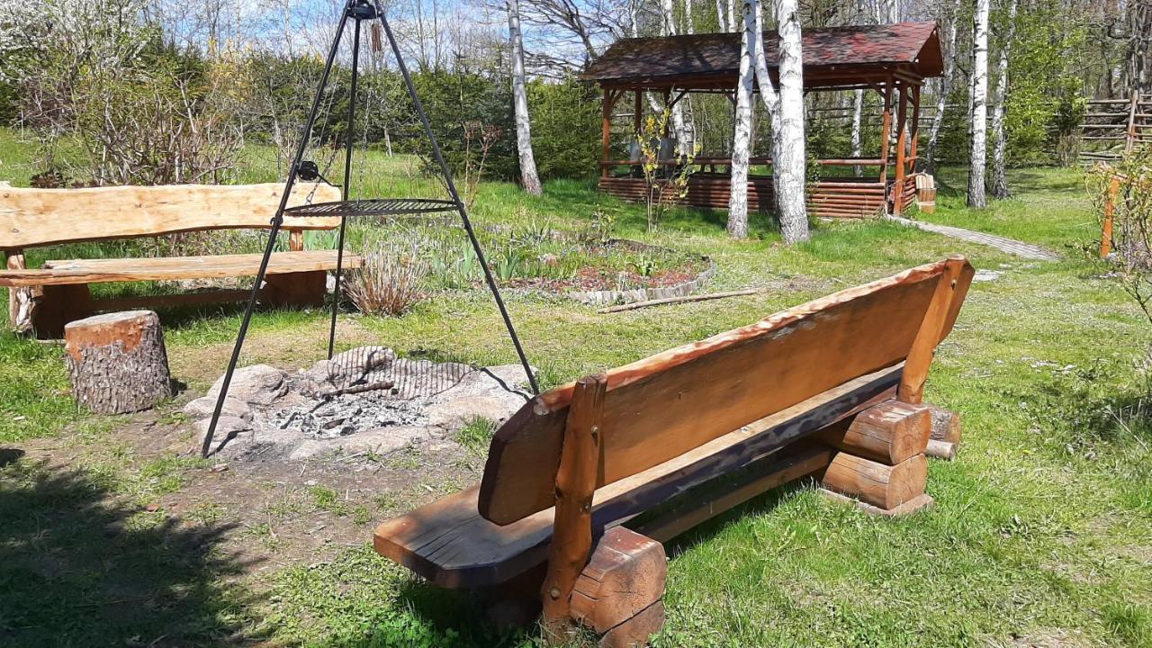 Chata Górska Sowa dla 12 osób, 4 sypialnie,salon z kominkiem Villa Podgórzyn Exterior foto