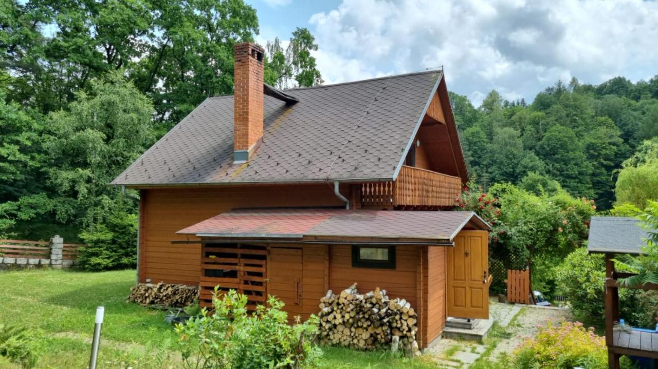 Chata Górska Sowa dla 12 osób, 4 sypialnie,salon z kominkiem Villa Podgórzyn Exterior foto