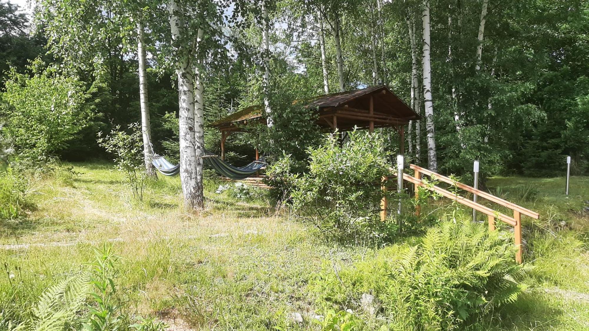 Chata Górska Sowa dla 12 osób, 4 sypialnie,salon z kominkiem Villa Podgórzyn Exterior foto